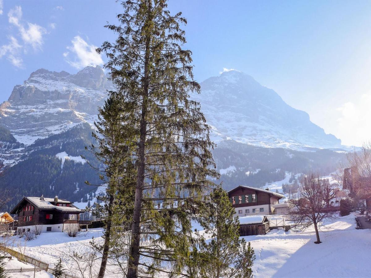 Apartment Chalet Spassvogel By Interhome Grindelwald Exterior foto