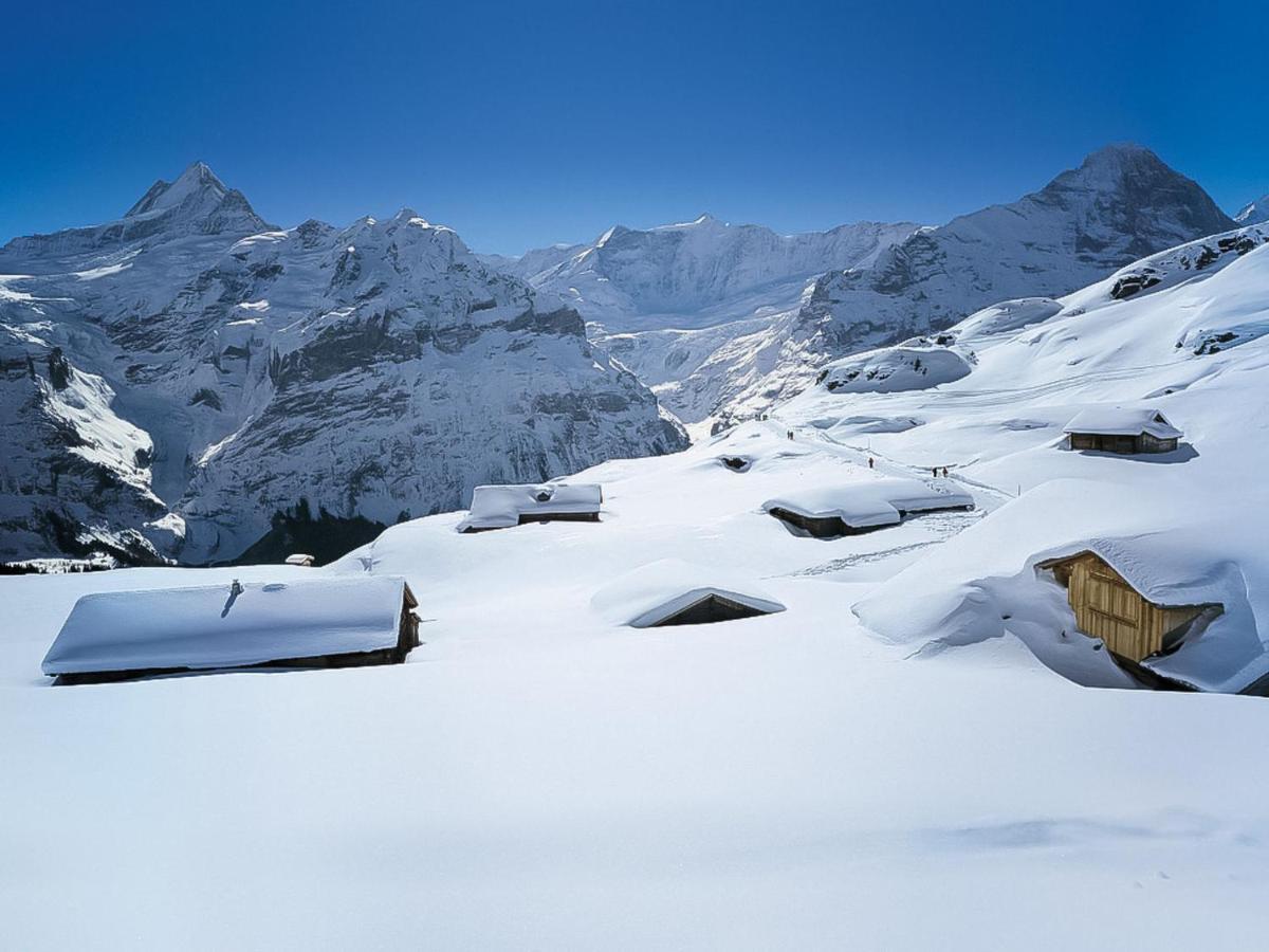 Apartment Chalet Spassvogel By Interhome Grindelwald Exterior foto
